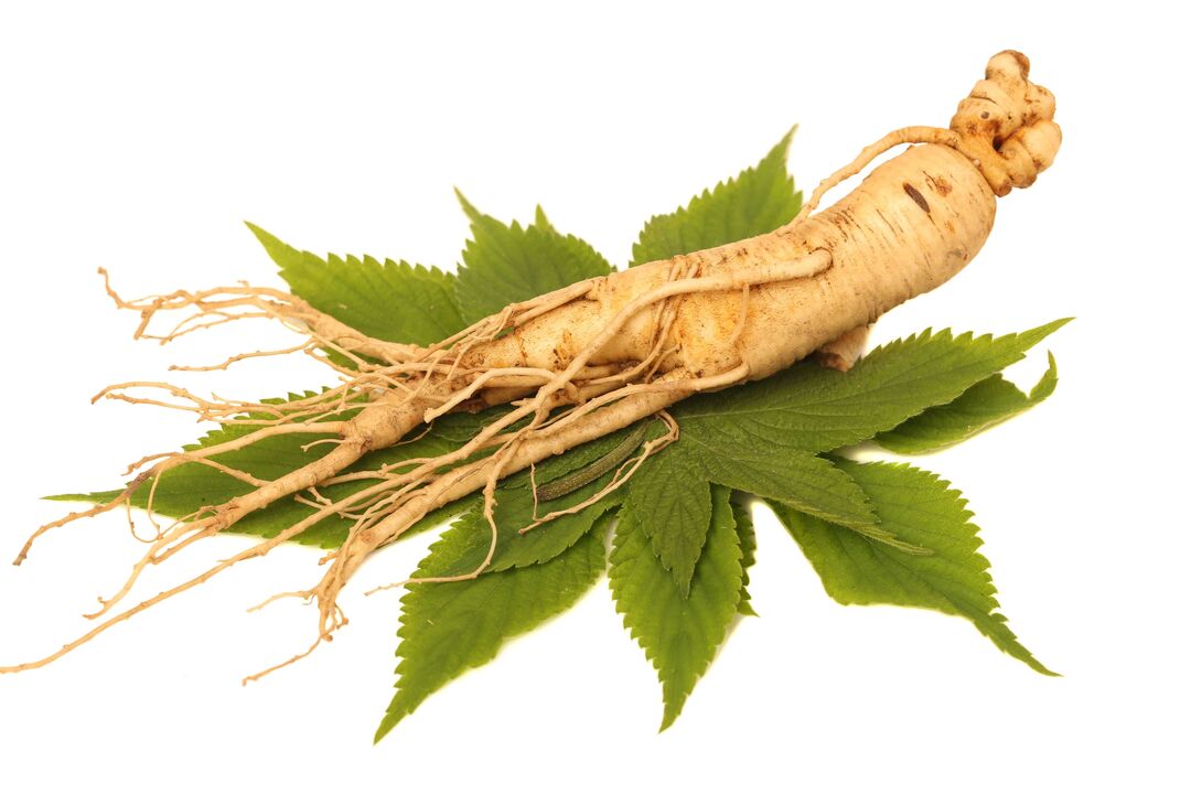 ginseng v Big Size