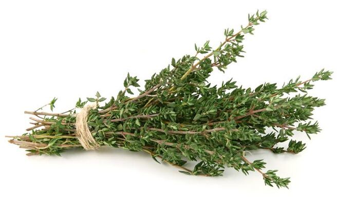 timijan za povečanje penisa